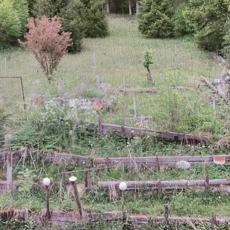 Σπίτι διακοπών Haus Anton *